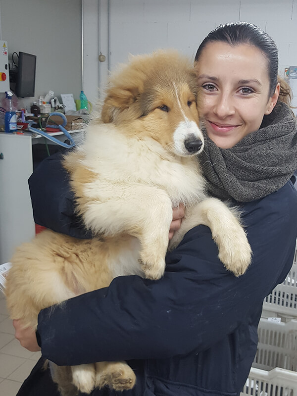 nicoletta allevamento incantamonte